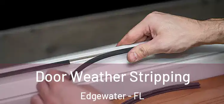 Door Weather Stripping Edgewater - FL